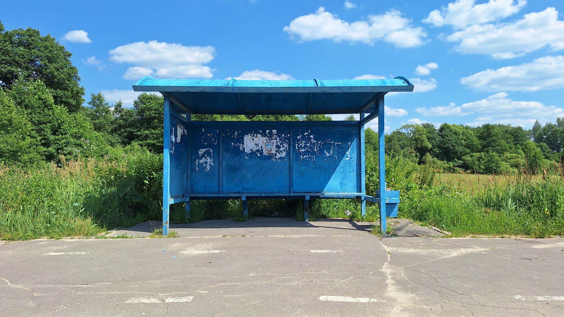  Московская область, городской округ Чехов, село Шарапово, улица Дружбы