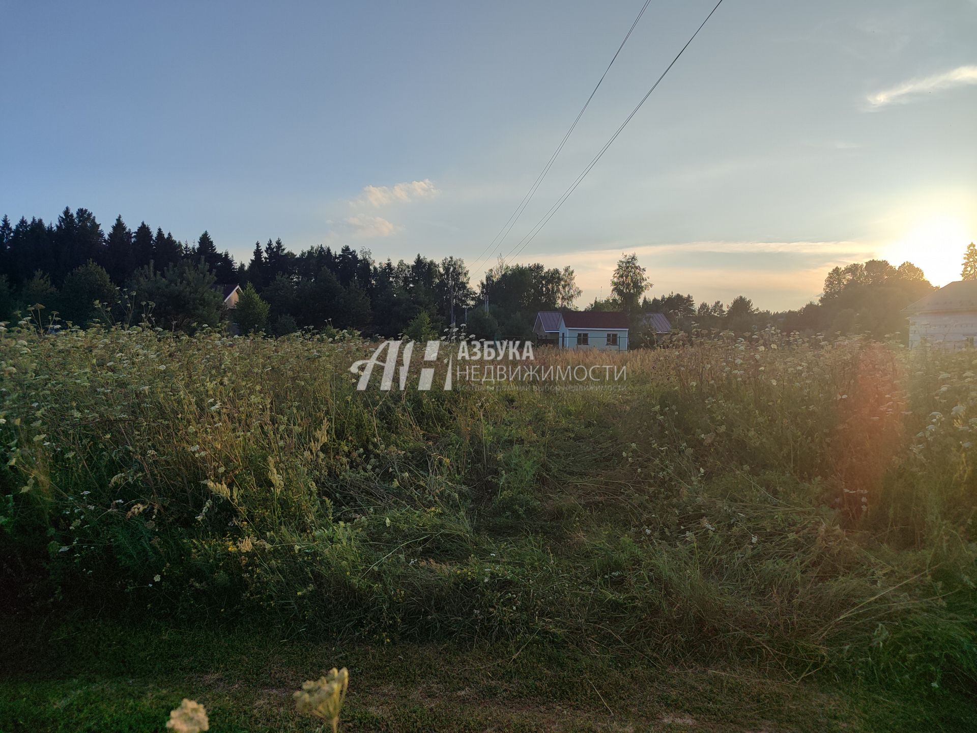 Земли поселения Московская область, Можайский городской округ, деревня Шишиморово