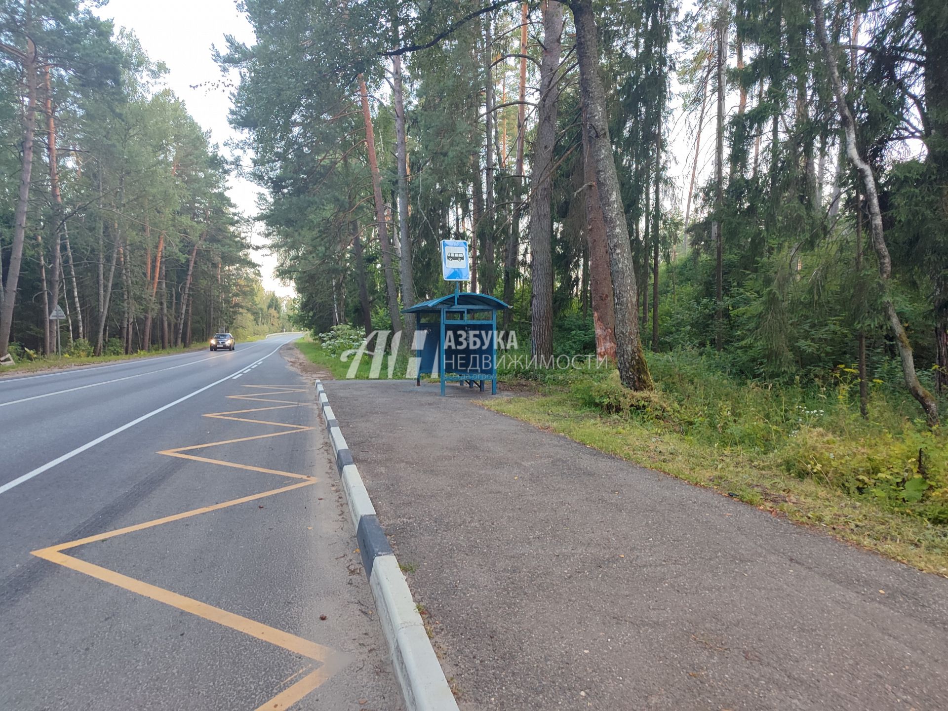 Земли поселения Московская область, Можайский городской округ, деревня Шишиморово