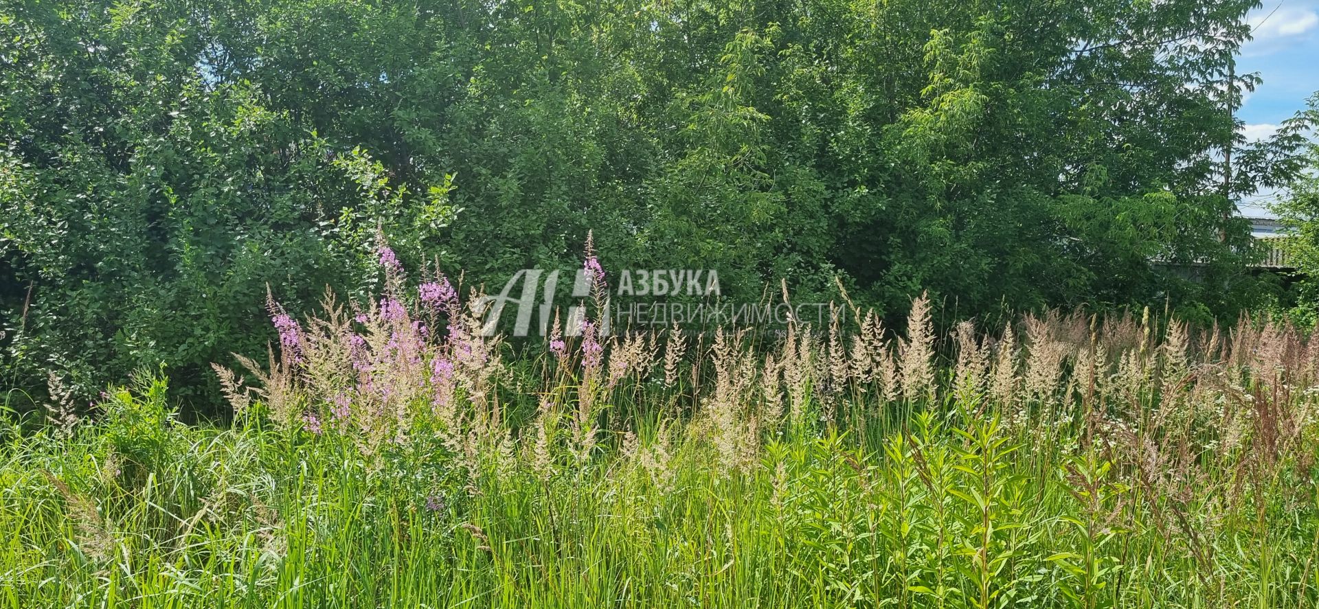 Земли поселения Московская область, Одинцовский городской округ, деревня Малые Вязёмы