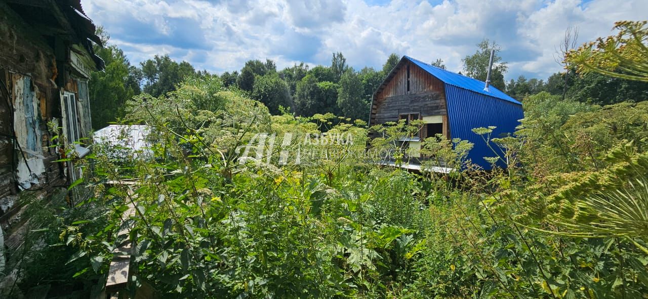 Земли поселения Московская область, Руза, Городянская улица