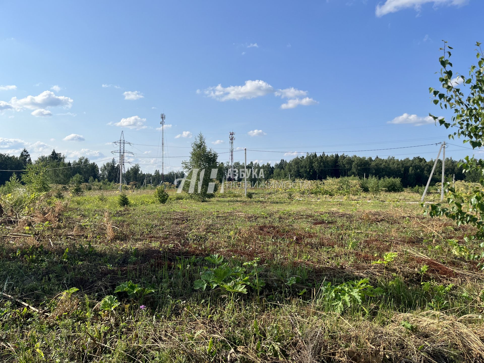 Земли поселения Московская область, Наро-Фоминский городской округ, деревня Свитино