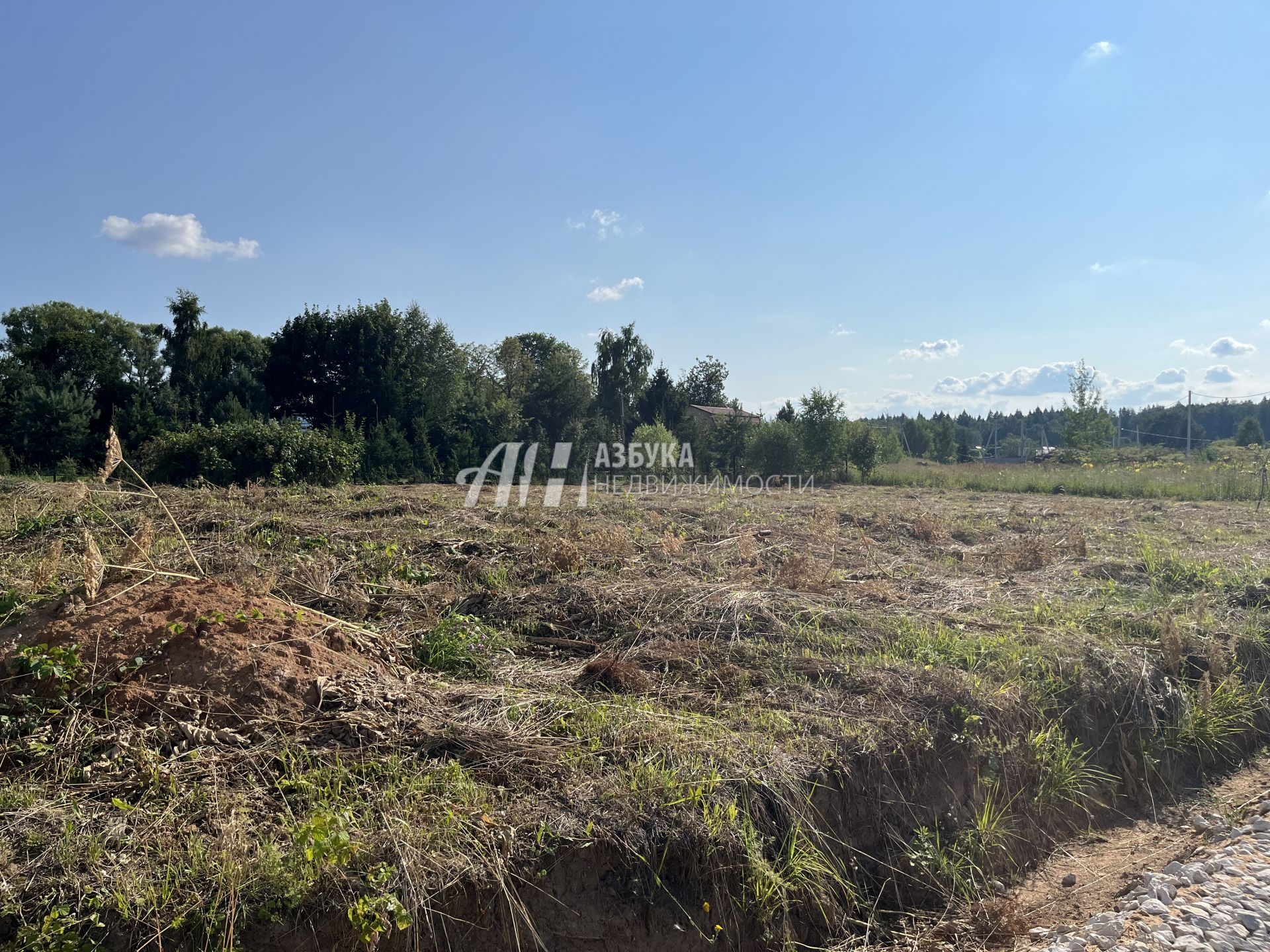 Земли поселения Московская область, Наро-Фоминский городской округ, деревня Свитино