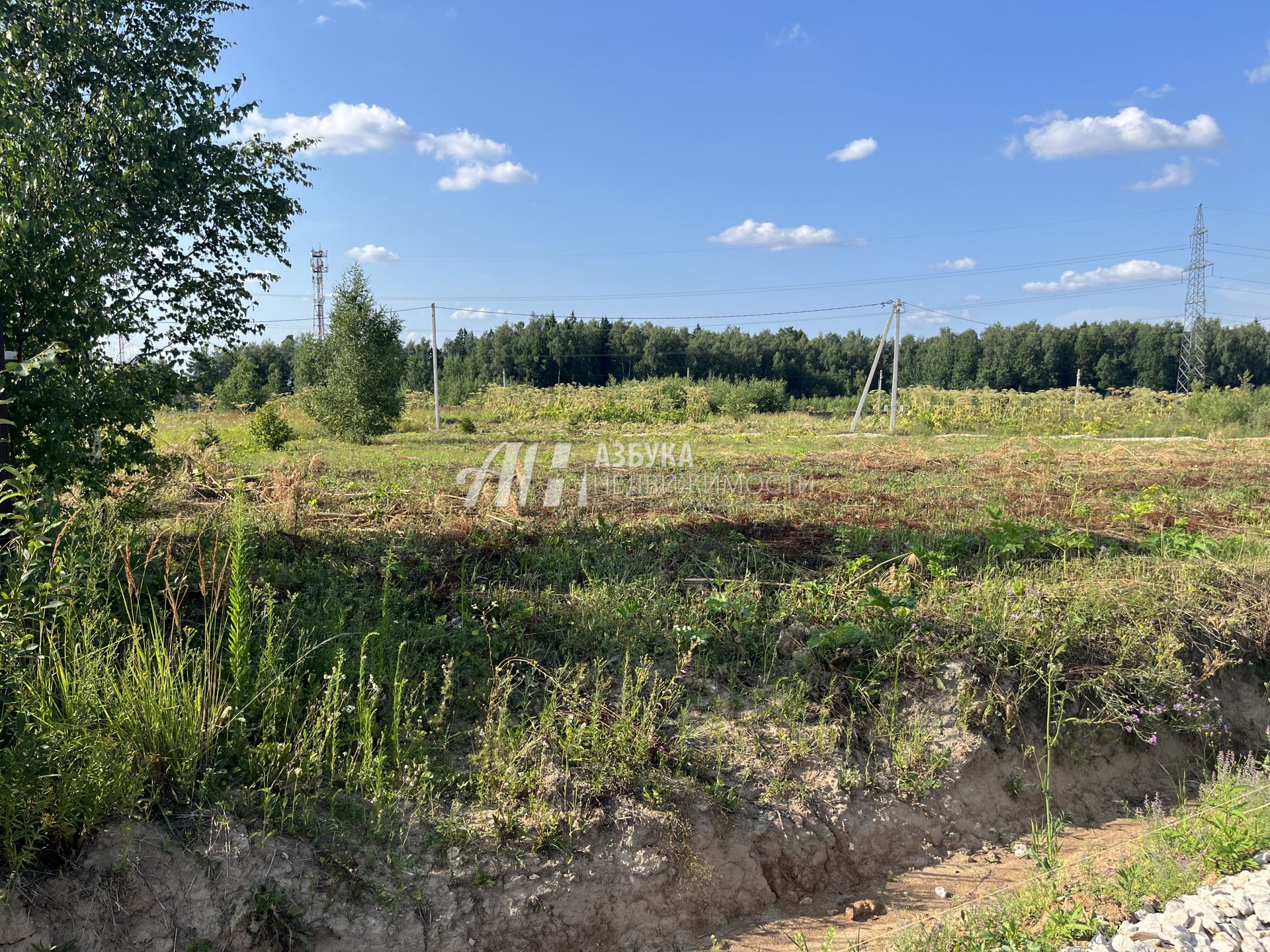 Земли поселения Московская область, Наро-Фоминский городской округ, деревня Свитино