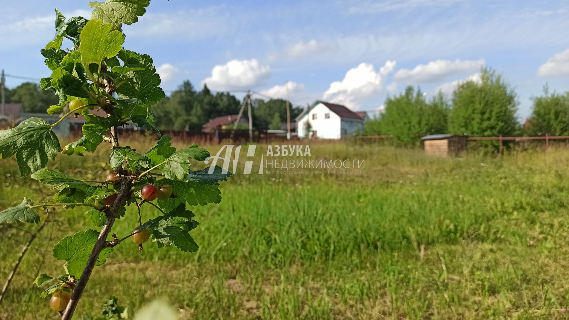 Земли сельхозназначения Московская область, городской округ Пушкинский, коттеджный посёлок Новое Бортнево