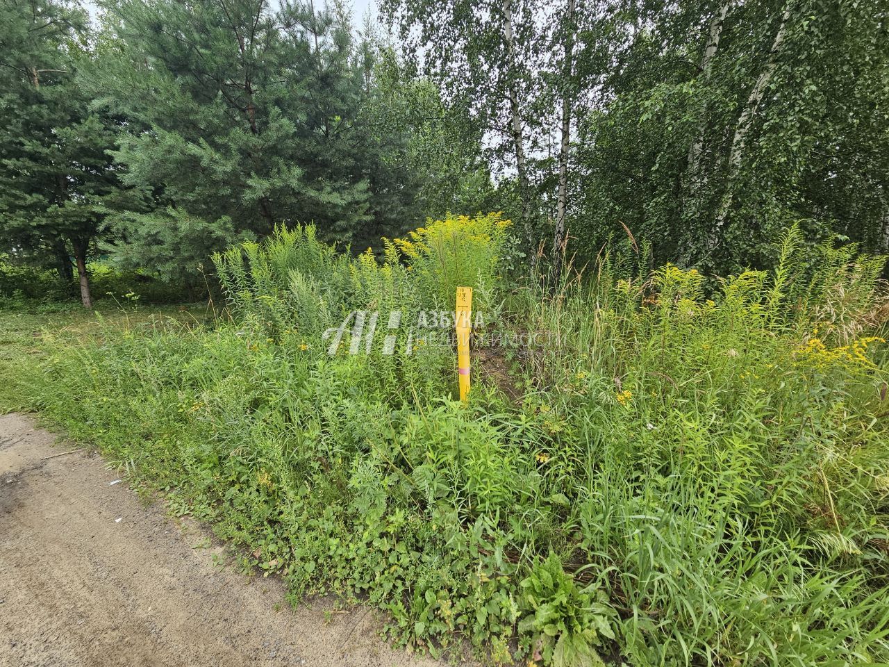 Земли поселения Московская область, Богородский городской округ, деревня Вишняково, Центральная улица