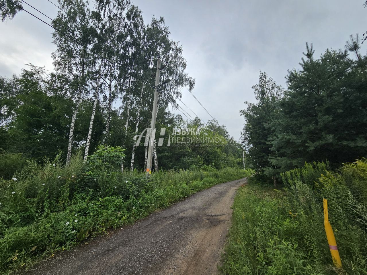 Земли поселения Московская область, Богородский городской округ, деревня Вишняково, Центральная улица