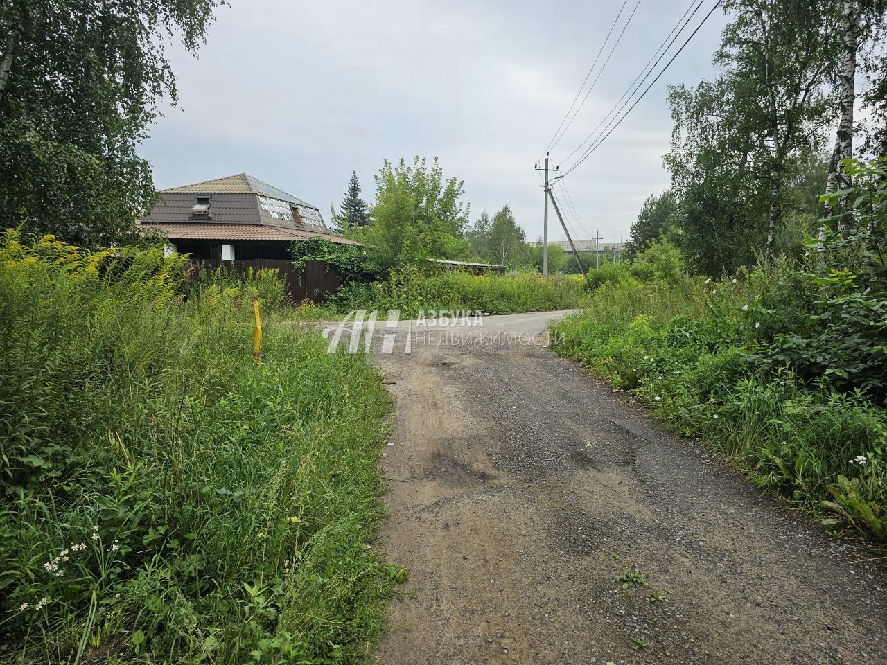 Земли поселения Московская область, Богородский городской округ, деревня Вишняково, Центральная улица