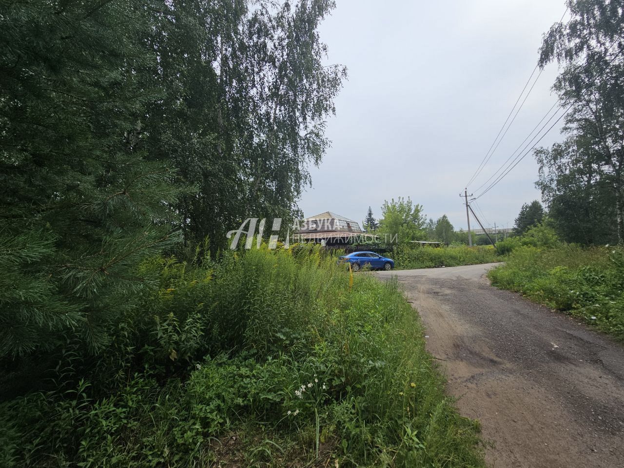 Земли поселения Московская область, Богородский городской округ, деревня Вишняково, Центральная улица