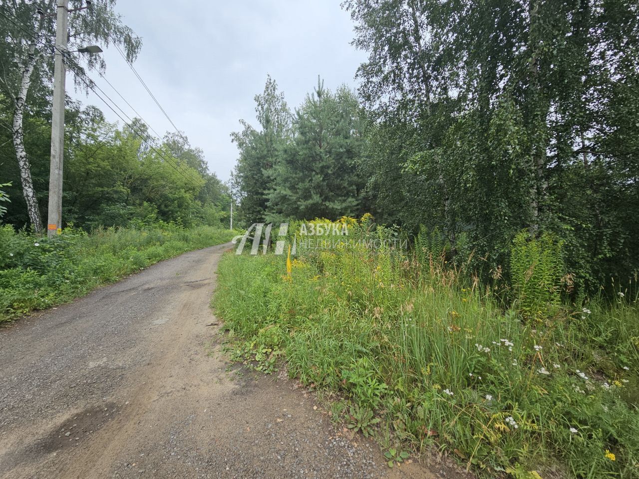 Земли поселения Московская область, Богородский городской округ, деревня Вишняково, Центральная улица