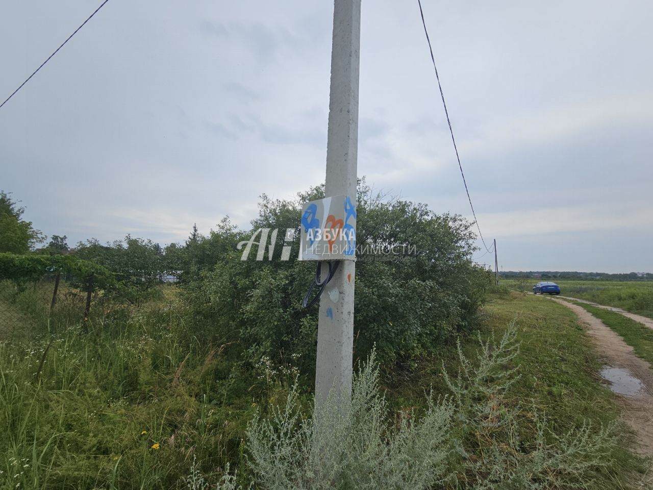 Земли поселения Московская область, Богородский городской округ, деревня Вишняково, Школьная улица