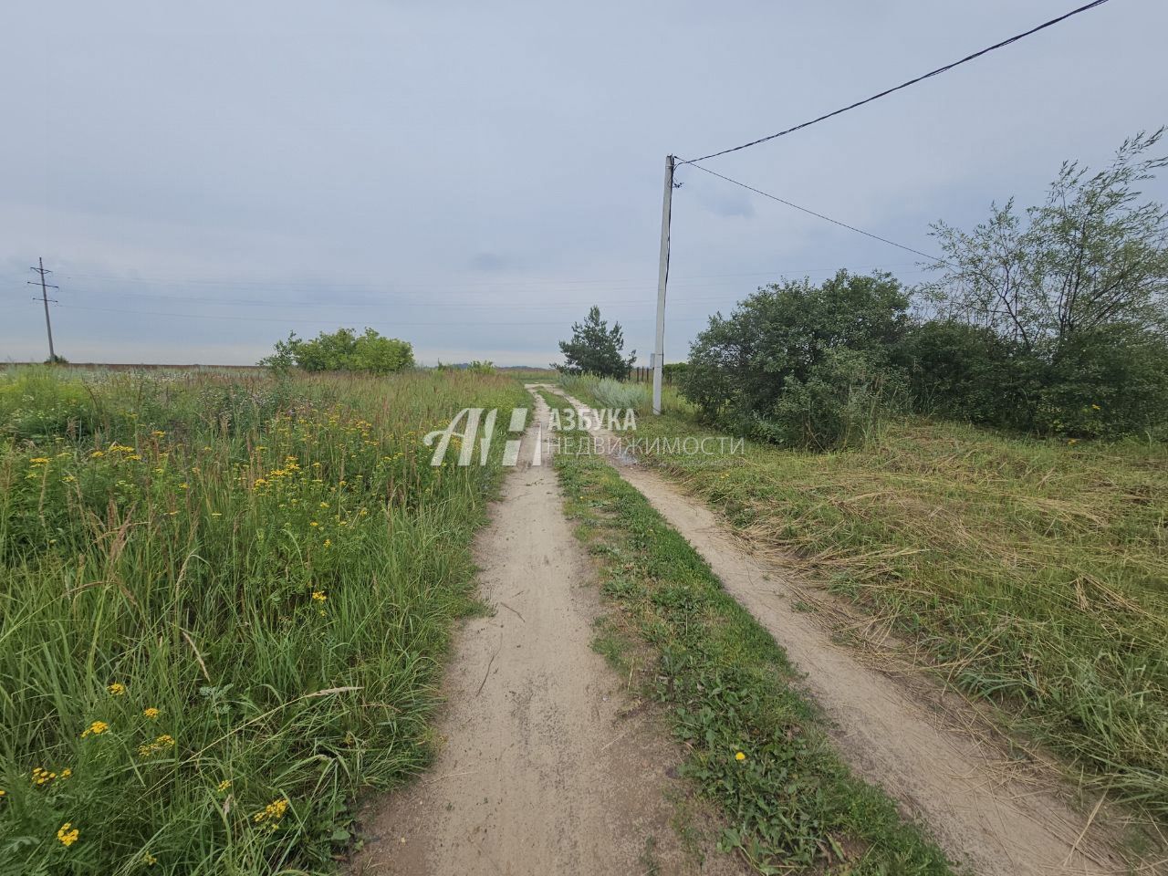 Земли поселения Московская область, Богородский городской округ, деревня Вишняково, Школьная улица