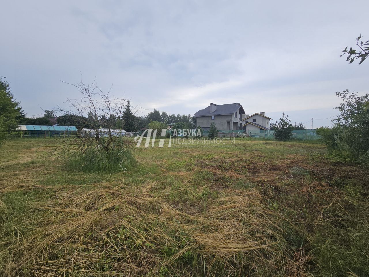 Земли поселения Московская область, Богородский городской округ, деревня Вишняково, Школьная улица