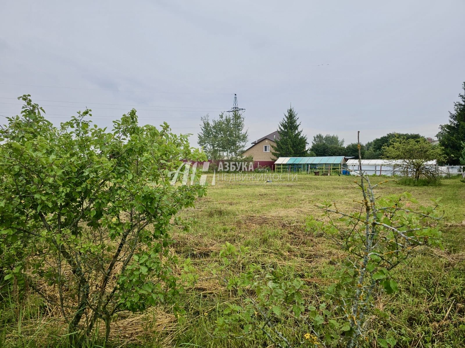 Земли поселения Московская область, Богородский городской округ, деревня Вишняково, Школьная улица