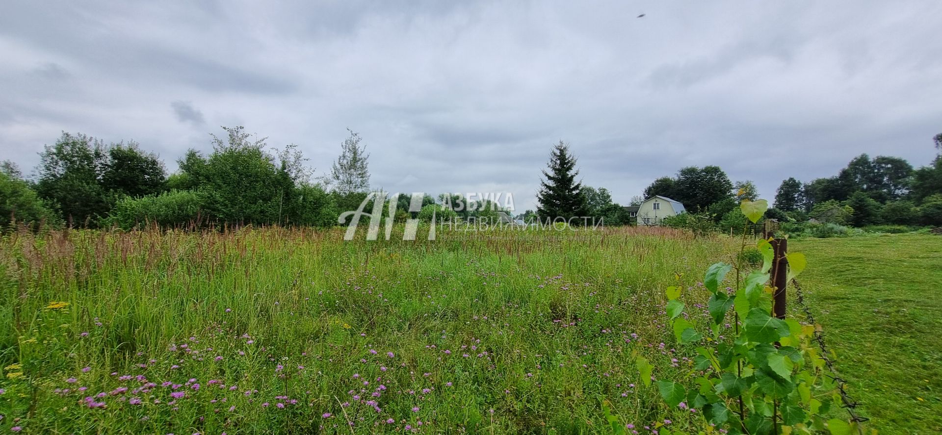 Земли поселения Московская область, Одинцовский городской округ, село Никольское, Заречная улица