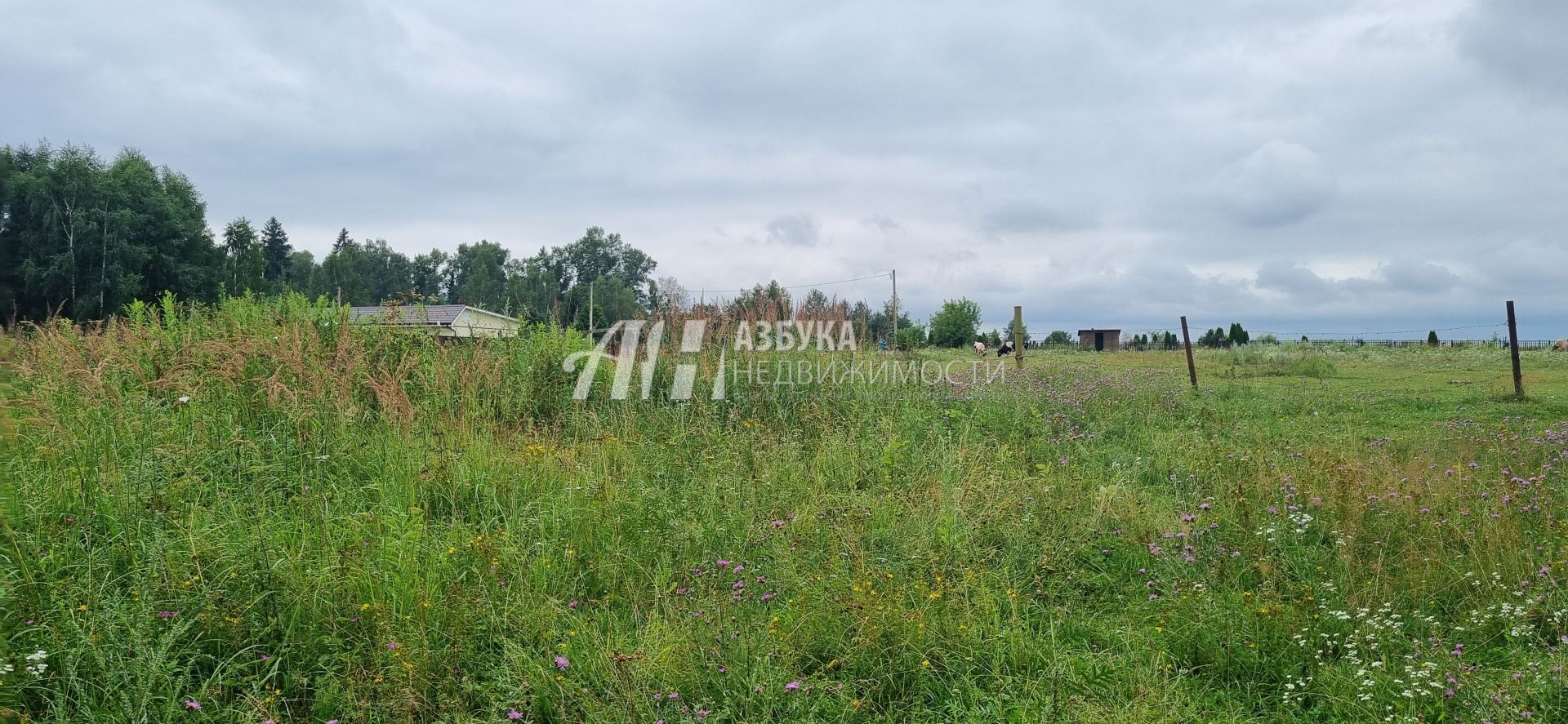 Земли поселения Московская область, Одинцовский городской округ, село Никольское, Заречная улица