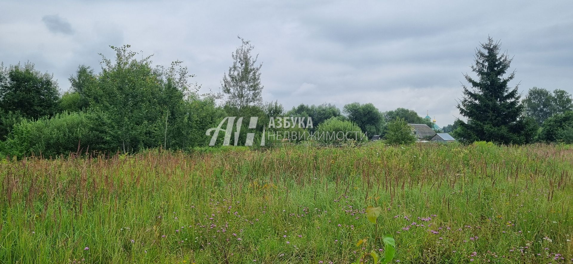 Земли поселения Московская область, Одинцовский городской округ, село Никольское, Заречная улица