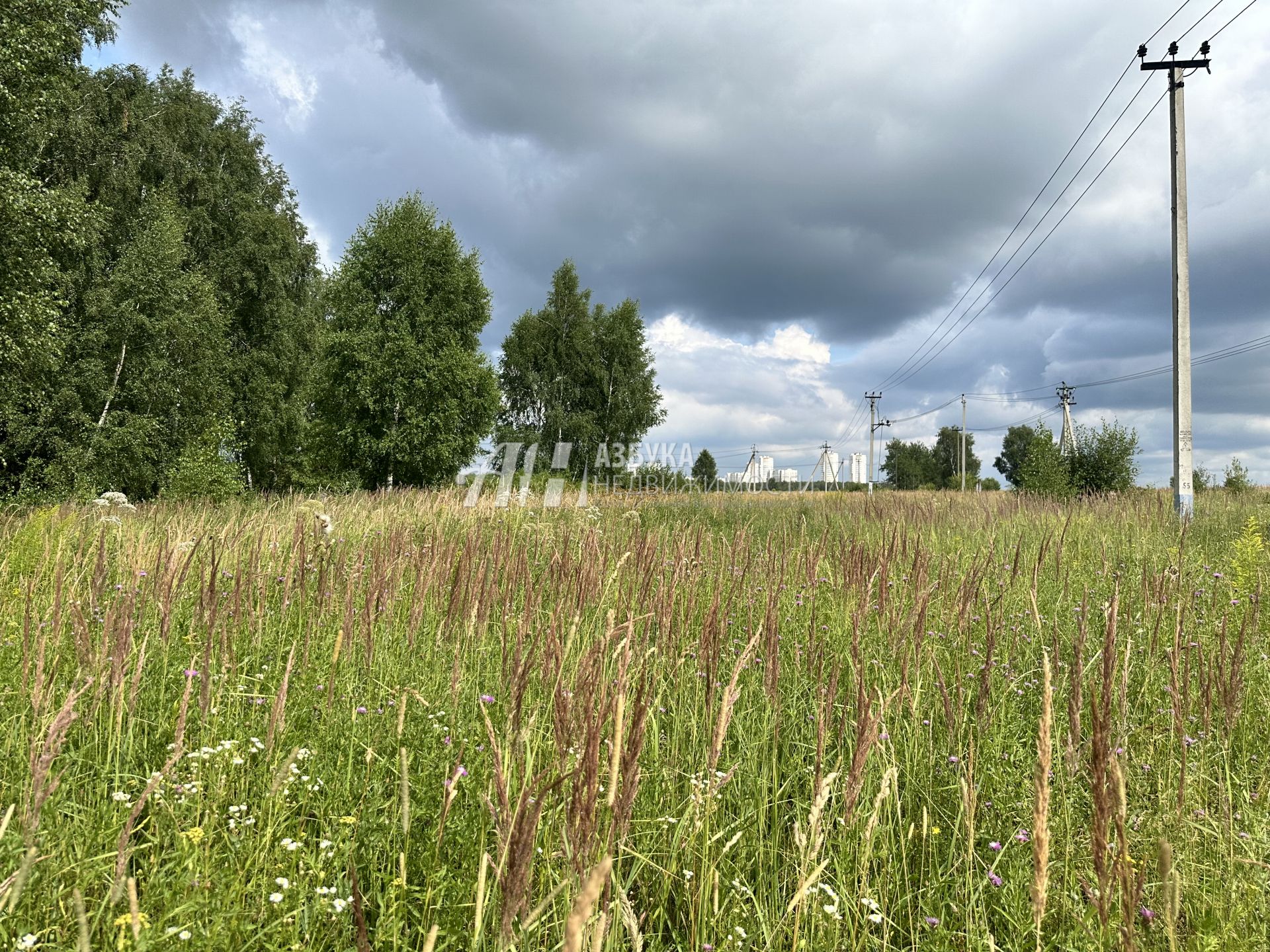  Московская область, городской округ Чехов, деревня Венюково