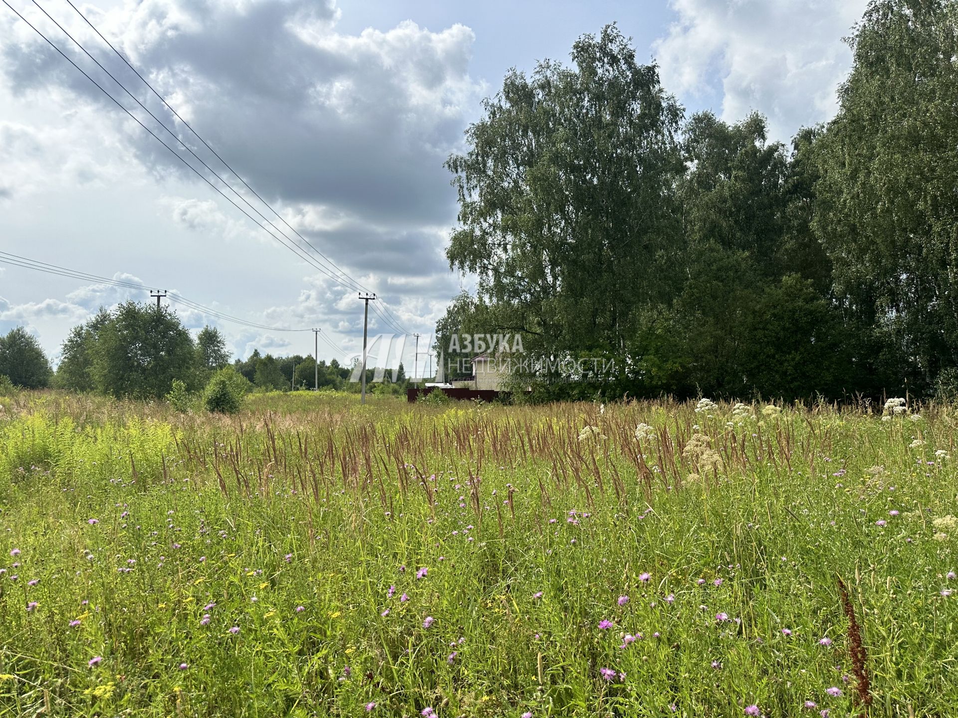  Московская область, городской округ Чехов, деревня Венюково