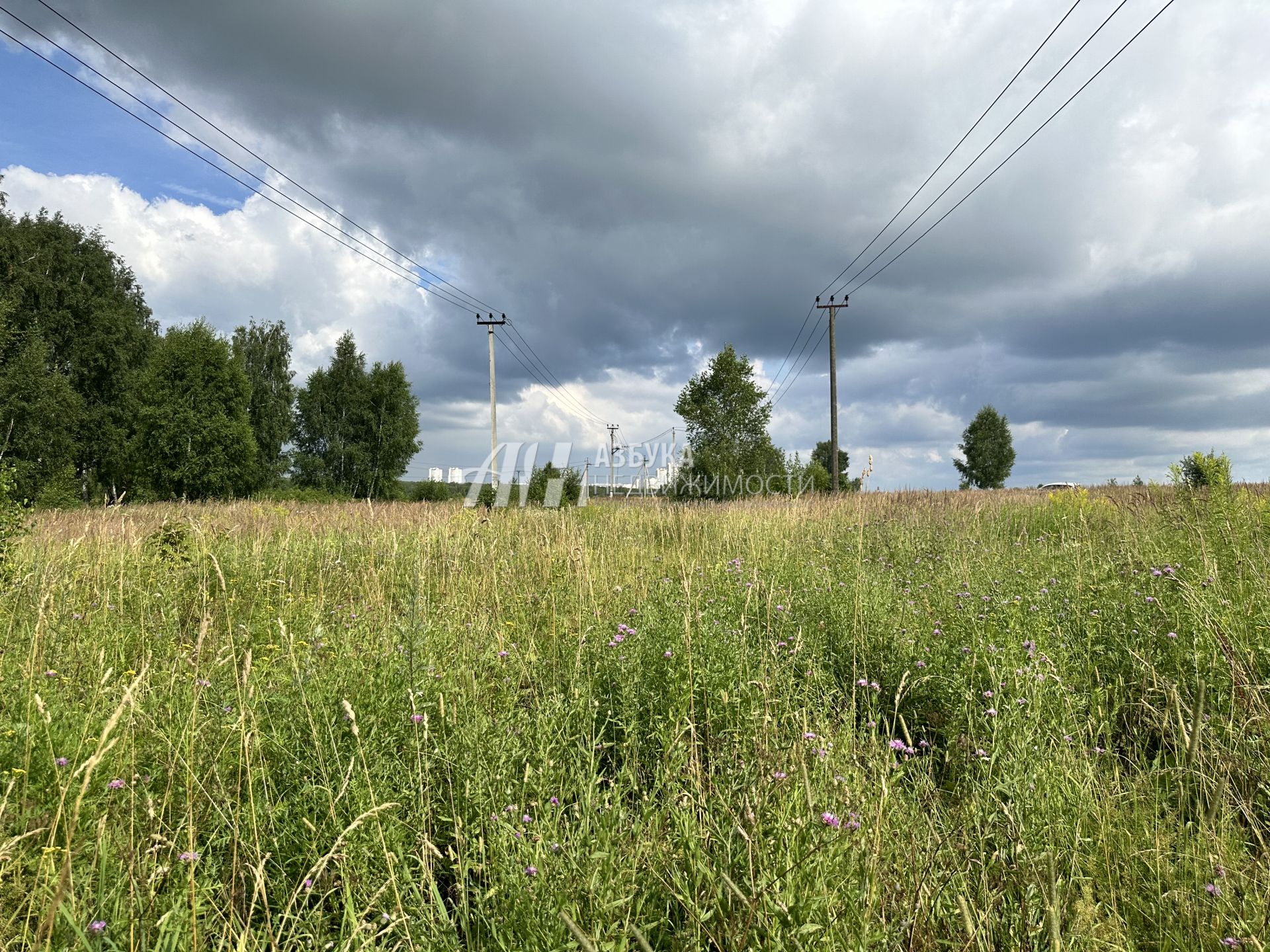  Московская область, городской округ Чехов, деревня Венюково