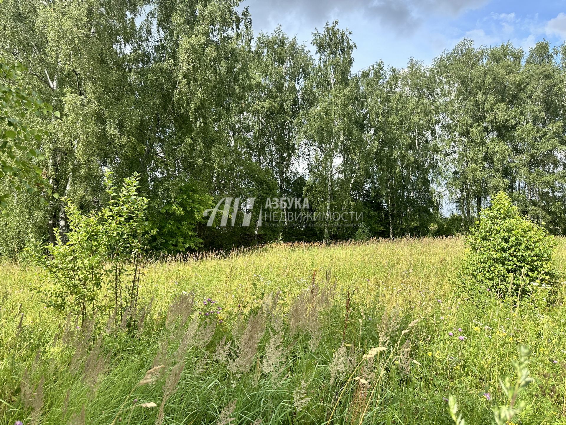  Московская область, городской округ Чехов, деревня Венюково