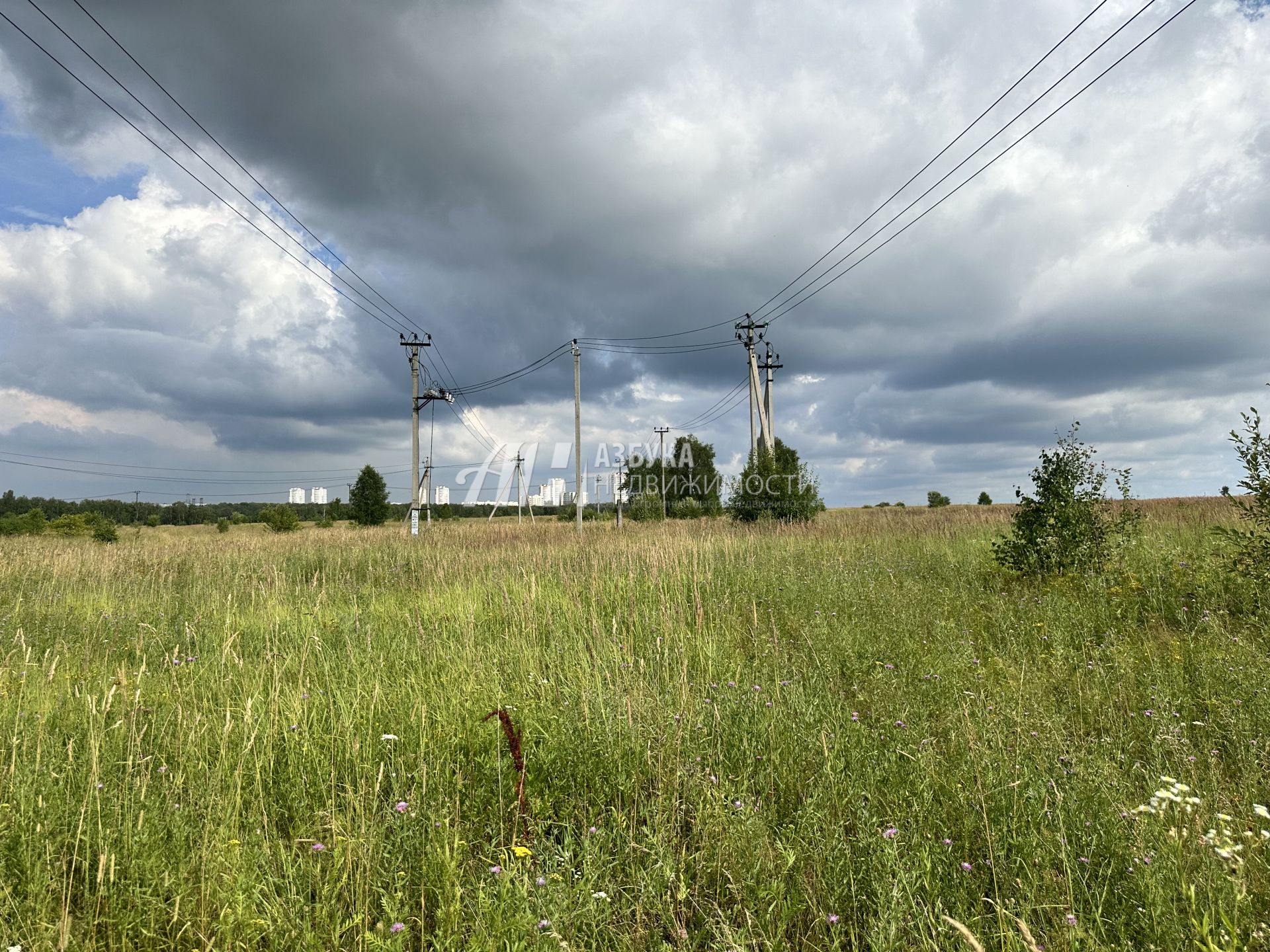 Земли поселения Московская область, городской округ Чехов, деревня Венюково