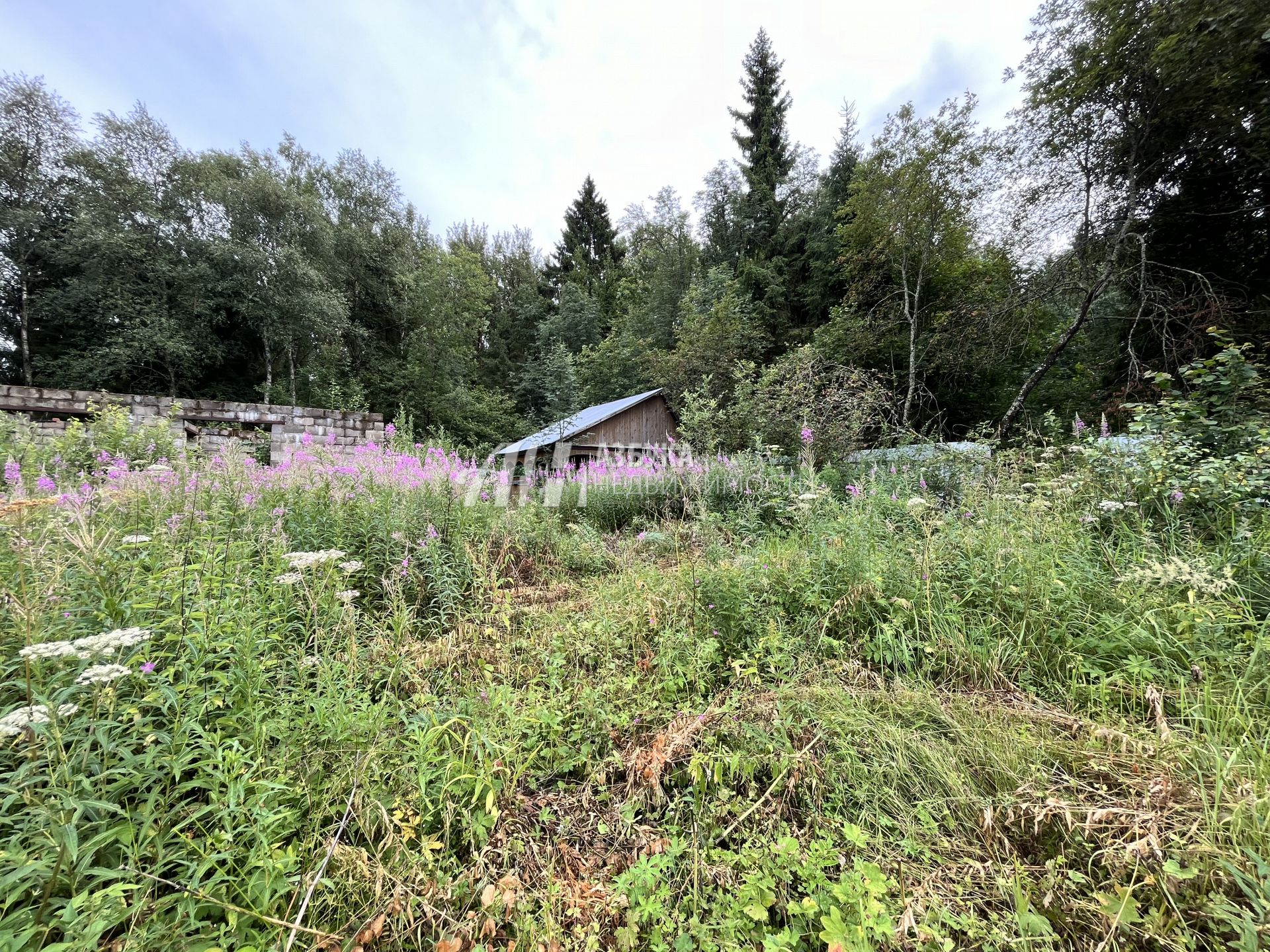 Земли сельхозназначения Московская область, Сергиево-Посадский городской округ, деревня Гольково, СНТ Орбита