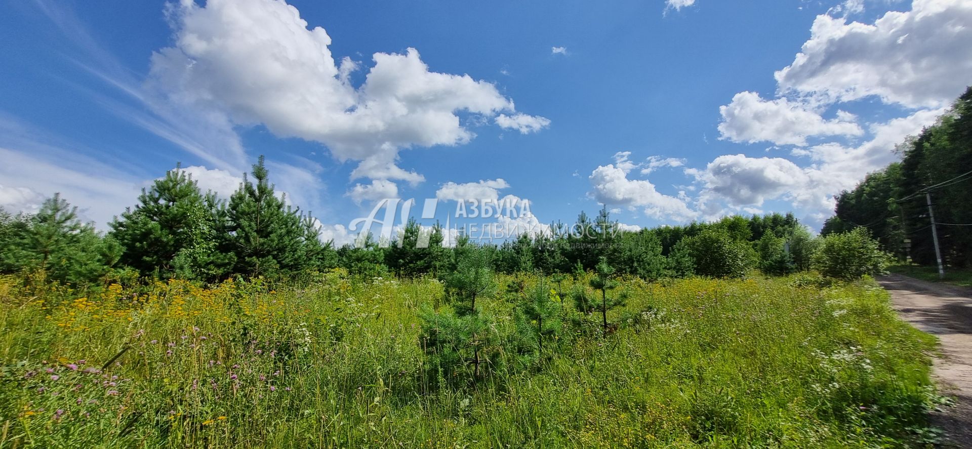 Земли поселения Московская область, Одинцовский городской округ, село Луцино, квартал ГП-4