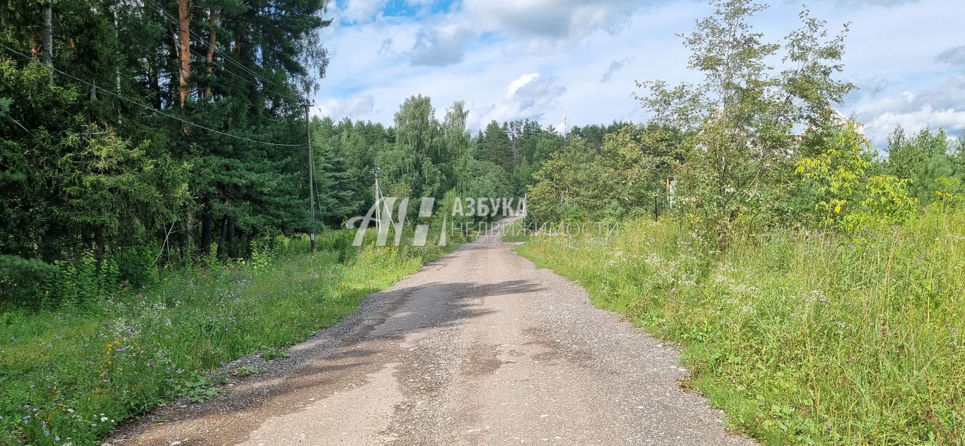 Земли поселения Московская область, Одинцовский городской округ, село Луцино, квартал ГП-4