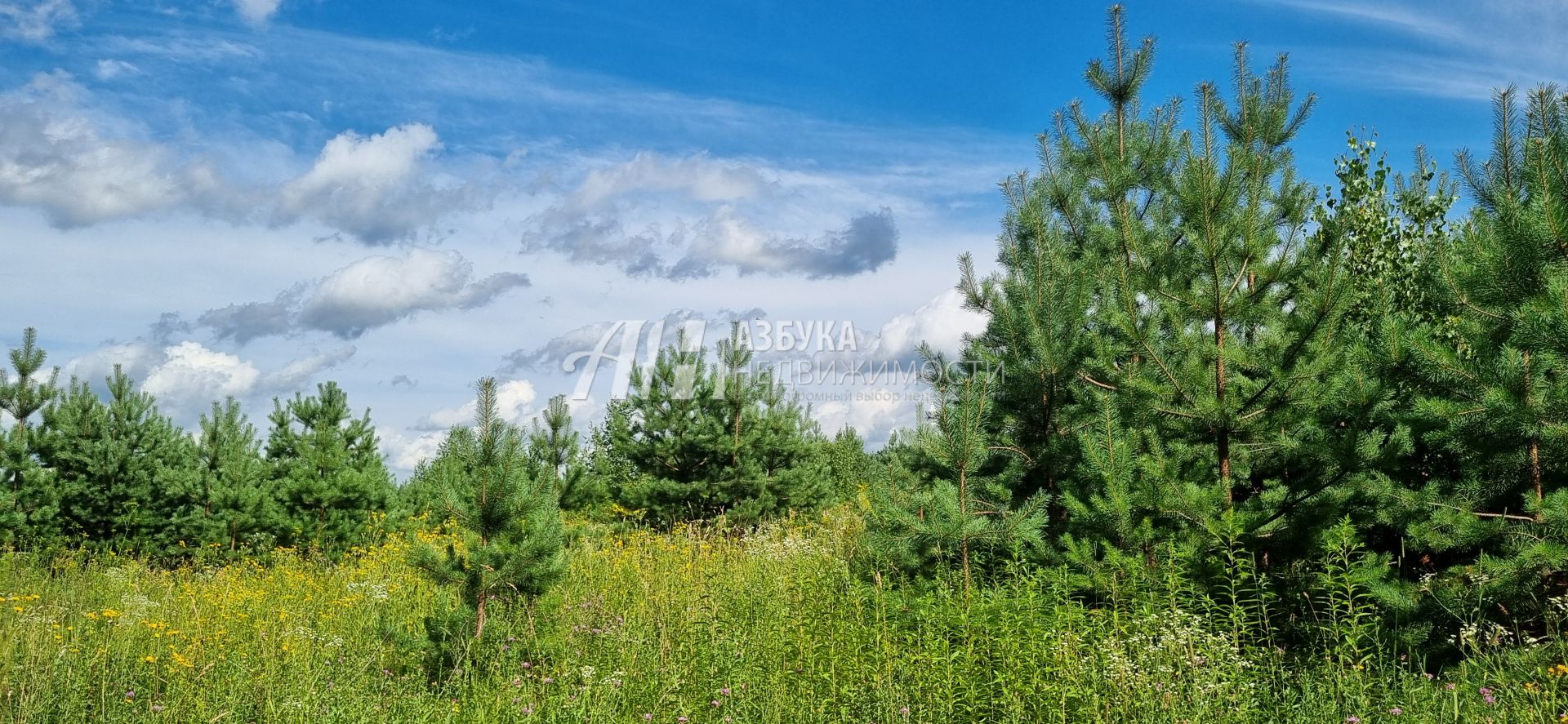 Село шарапово одинцовский городской