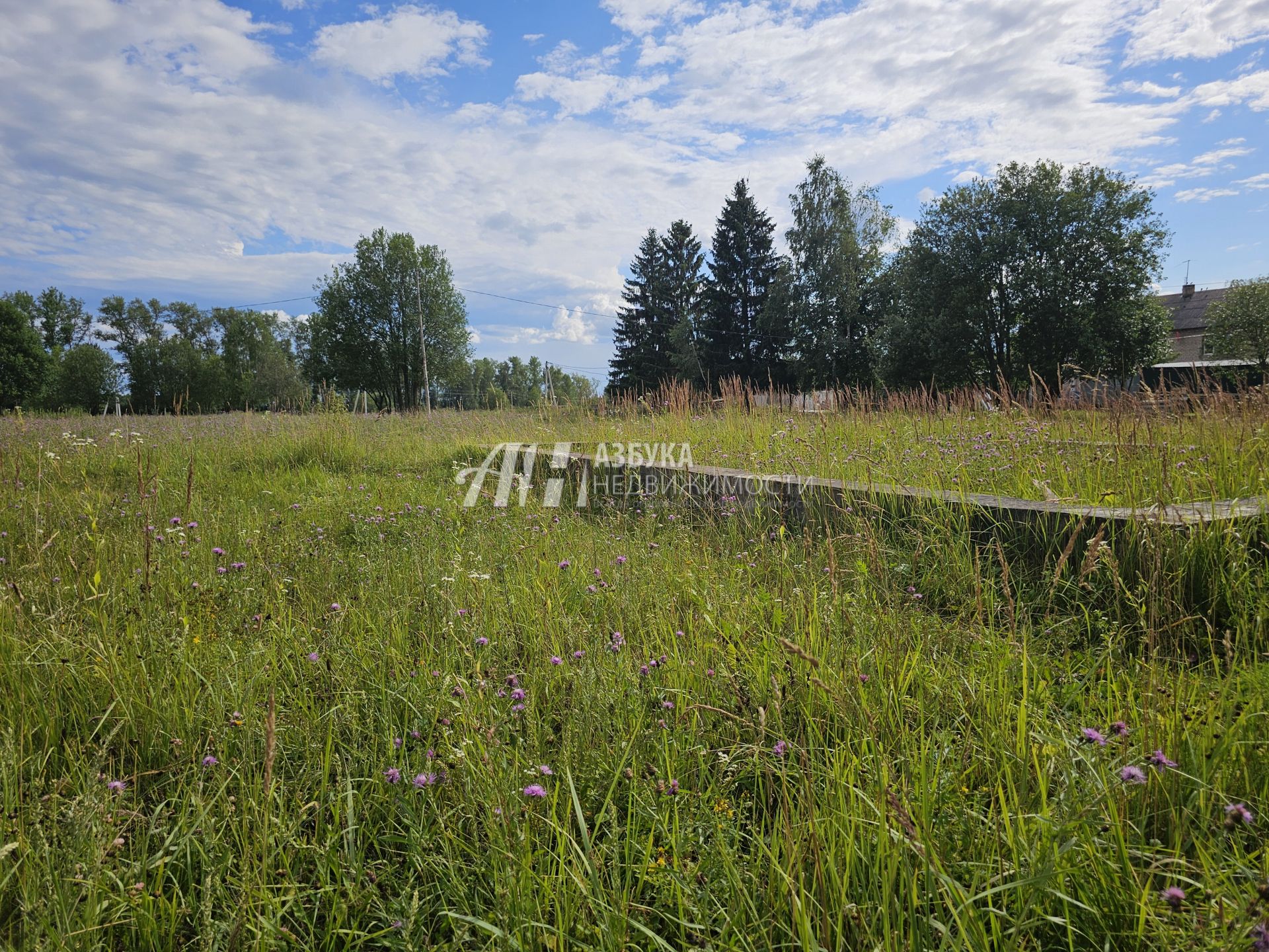 Земли поселения Московская область, Рузский городской округ, село Новая