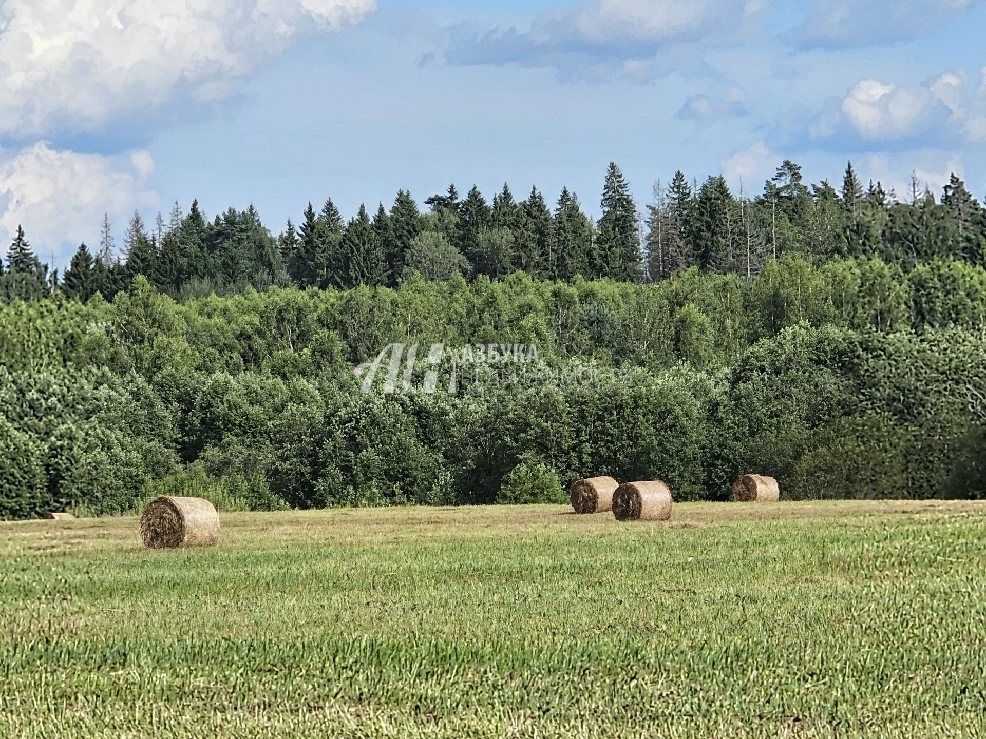 Земли поселения Московская область, Рузский городской округ, село Новая