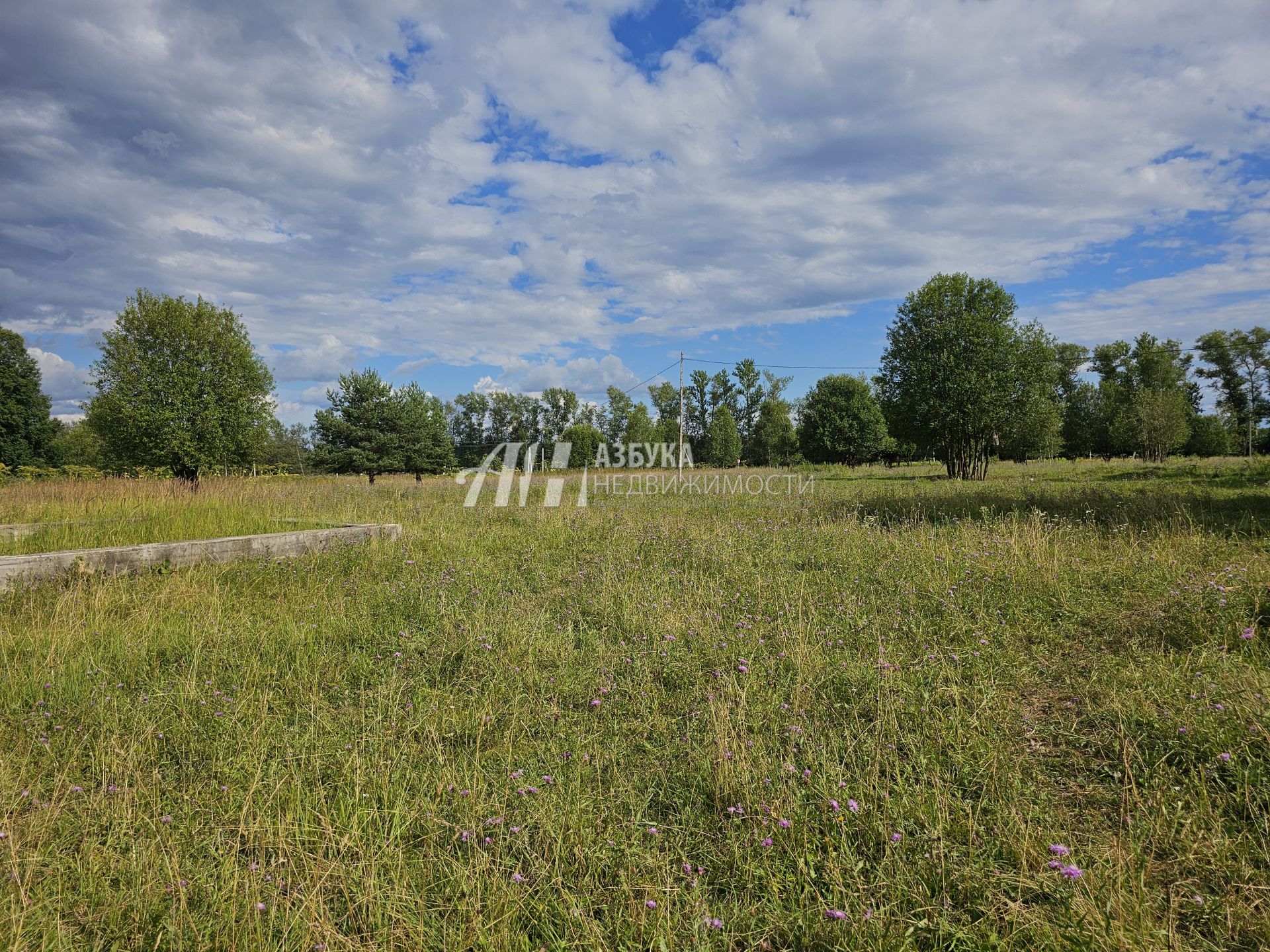 Земли поселения Московская область, Рузский городской округ, село Новая