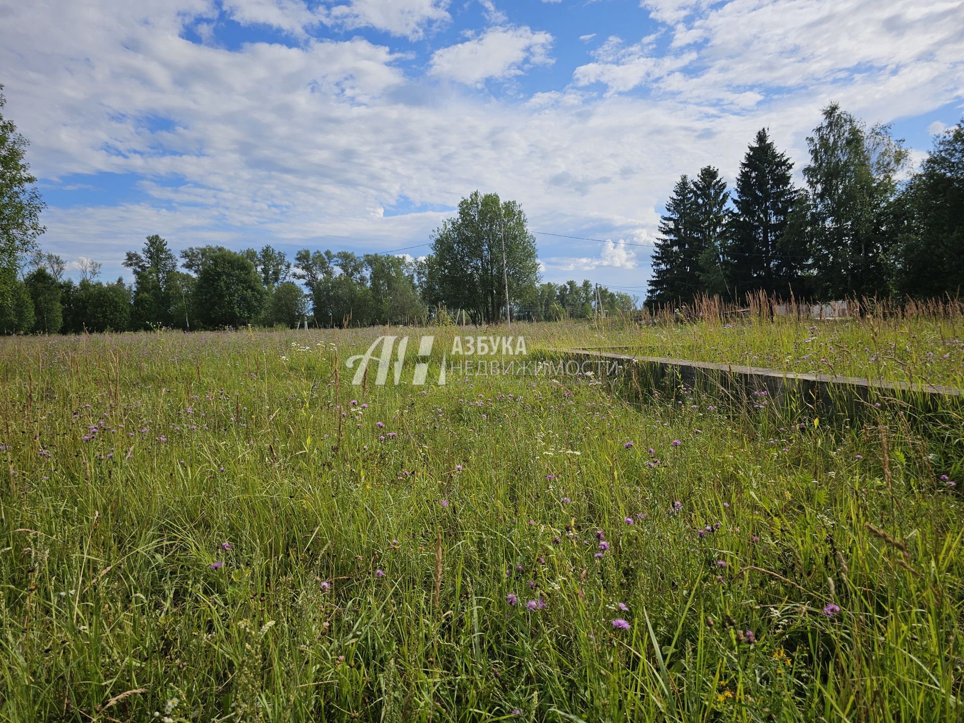 Земли поселения Московская область, Рузский городской округ, село Новая