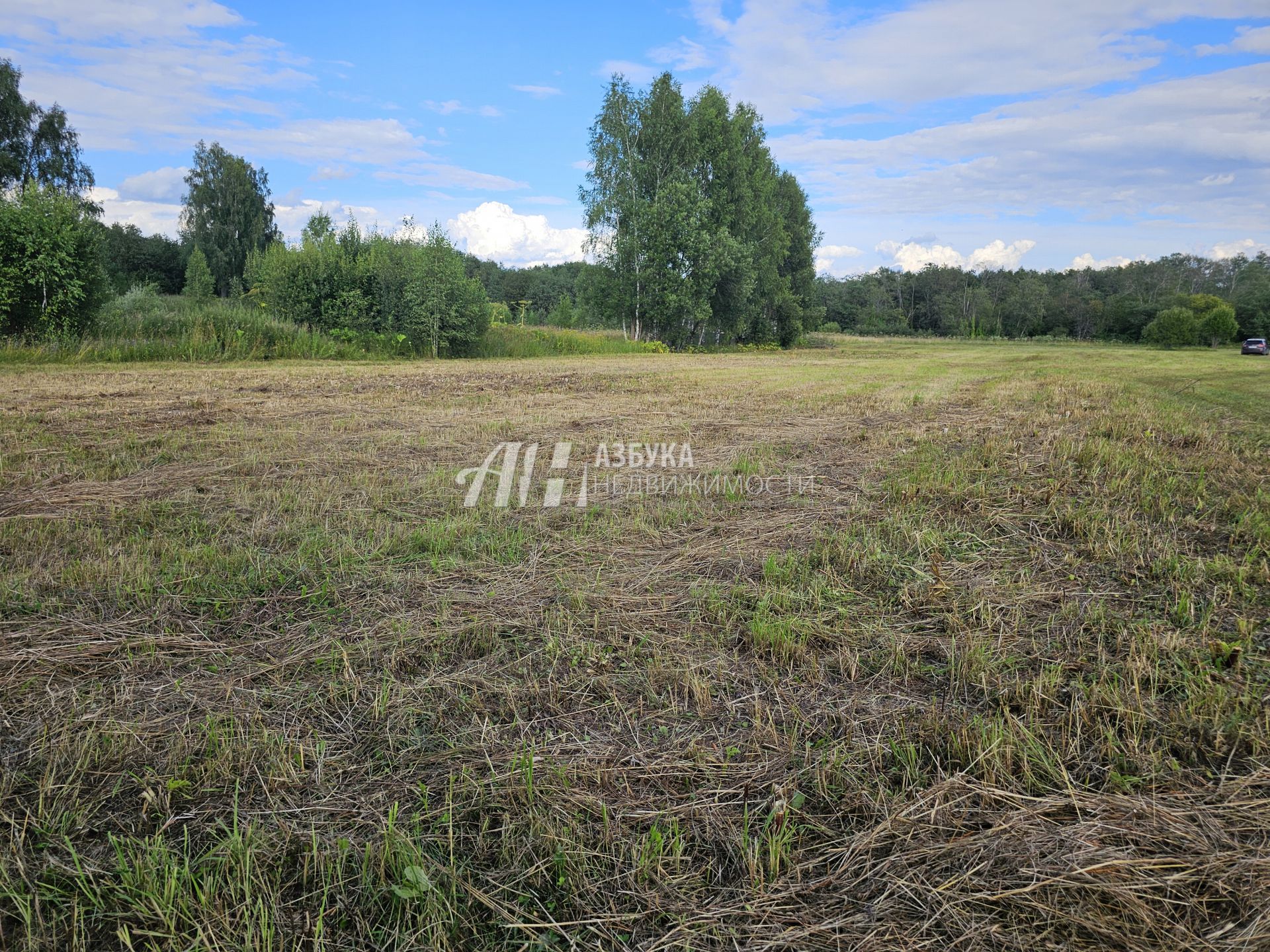  Московская область, Рузский городской округ, село Новая