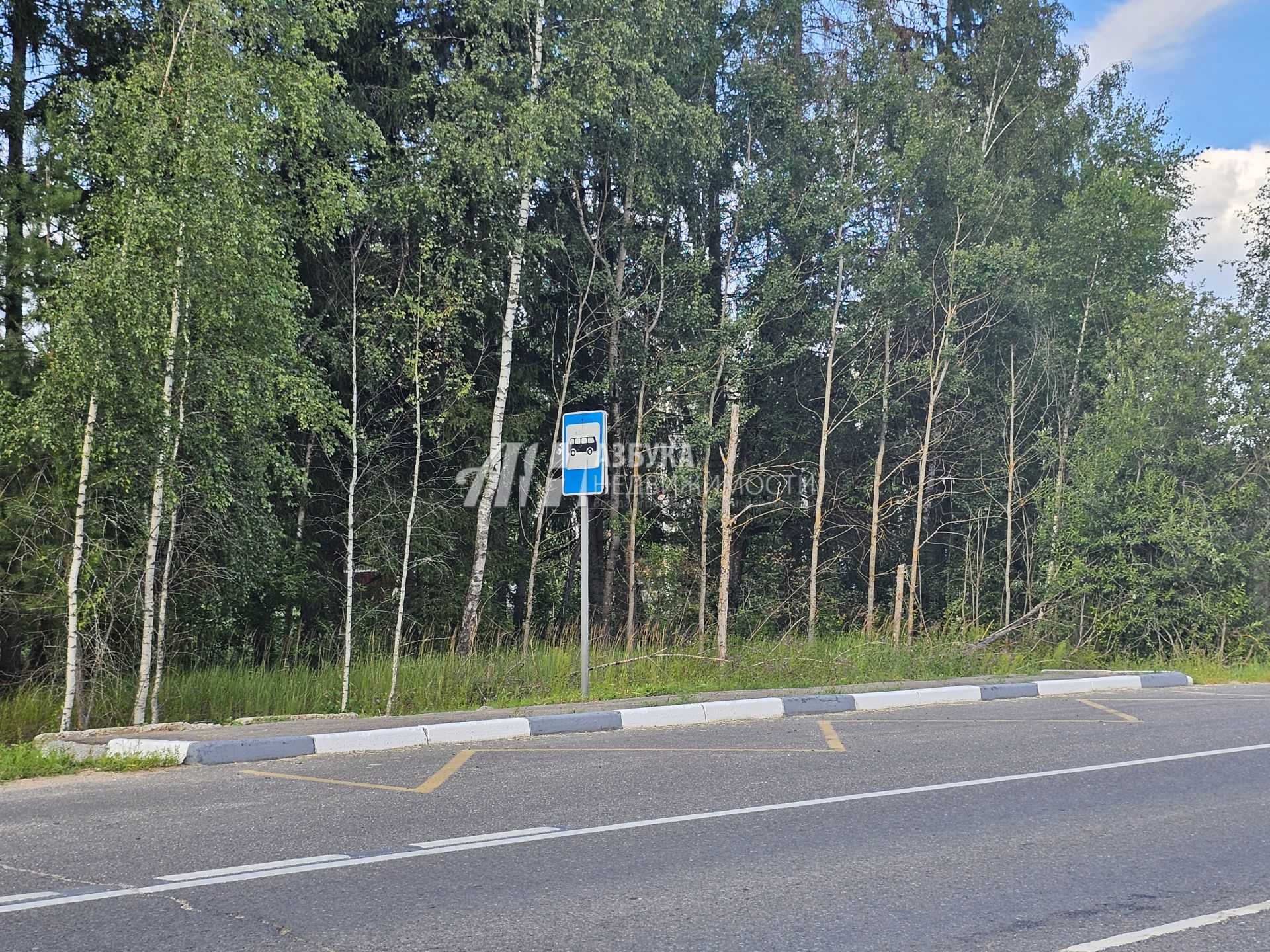  Московская область, Рузский городской округ, деревня Сытьково