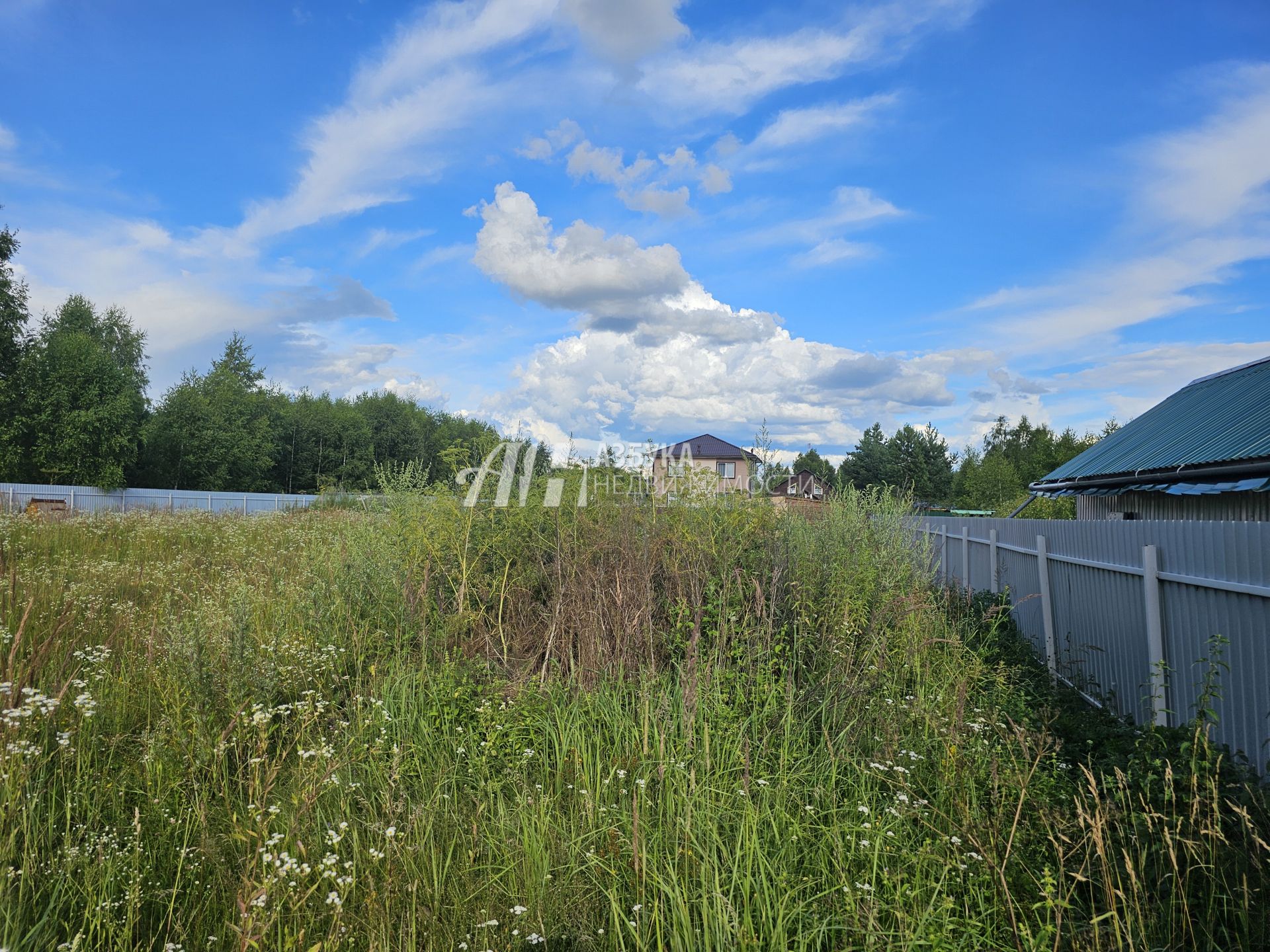  Московская область, Рузский городской округ, деревня Сытьково