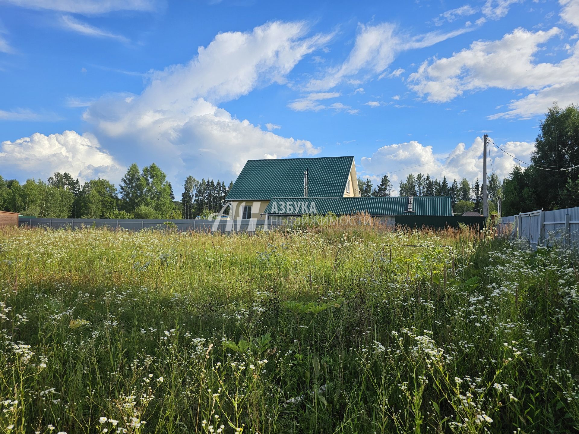  Московская область, Рузский городской округ, деревня Сытьково