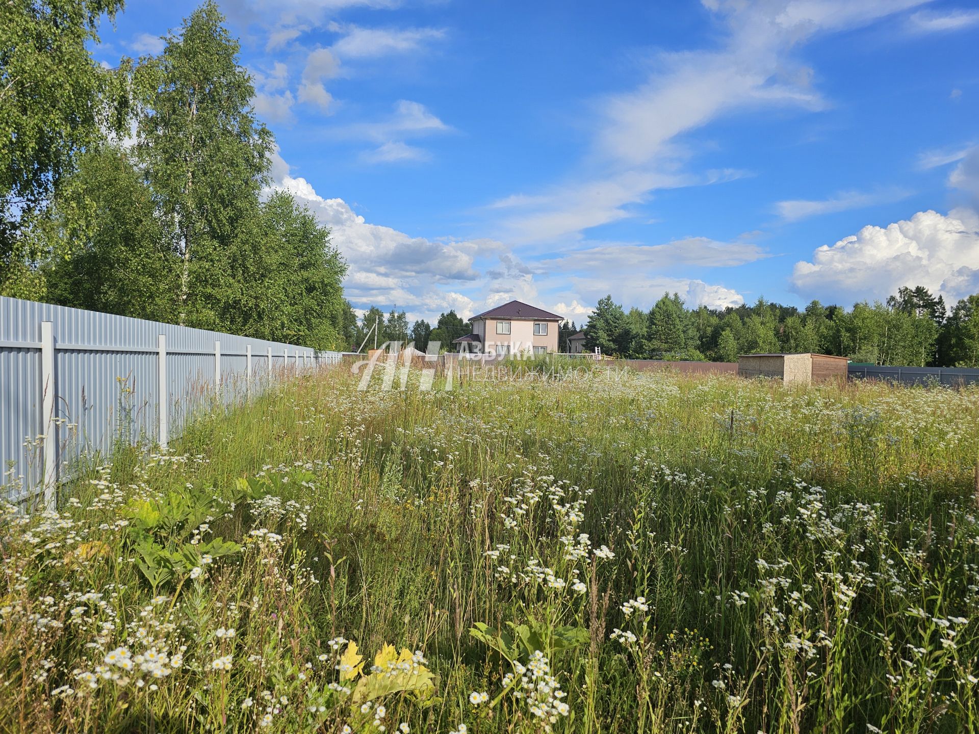  Московская область, Рузский городской округ, деревня Сытьково