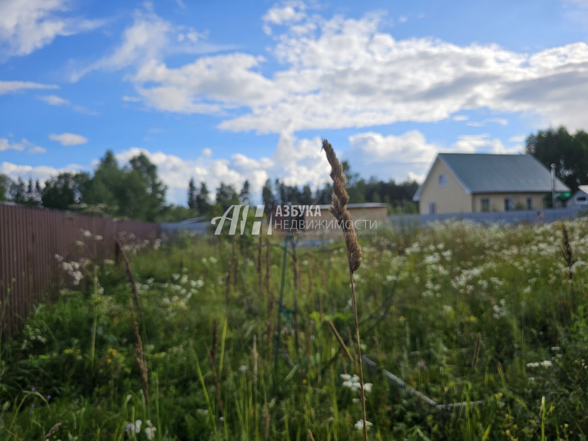  Московская область, Рузский городской округ, деревня Сытьково