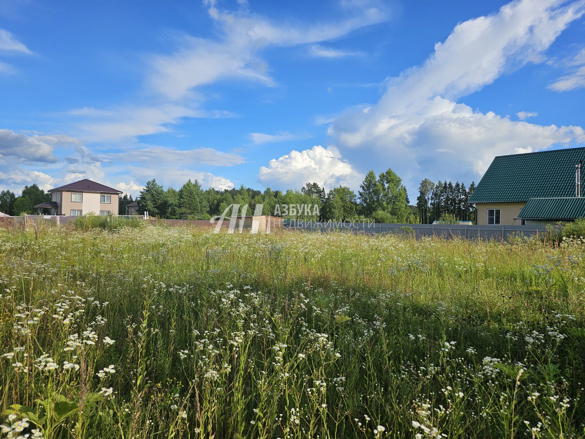  Московская область, Рузский городской округ, деревня Сытьково