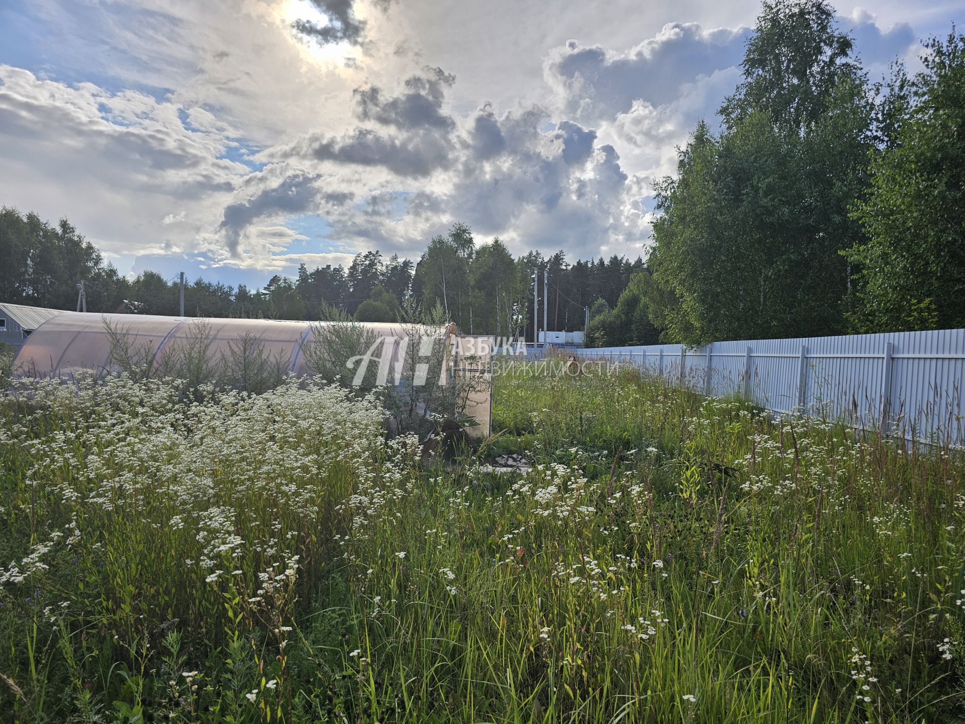  Московская область, Рузский городской округ, деревня Сытьково