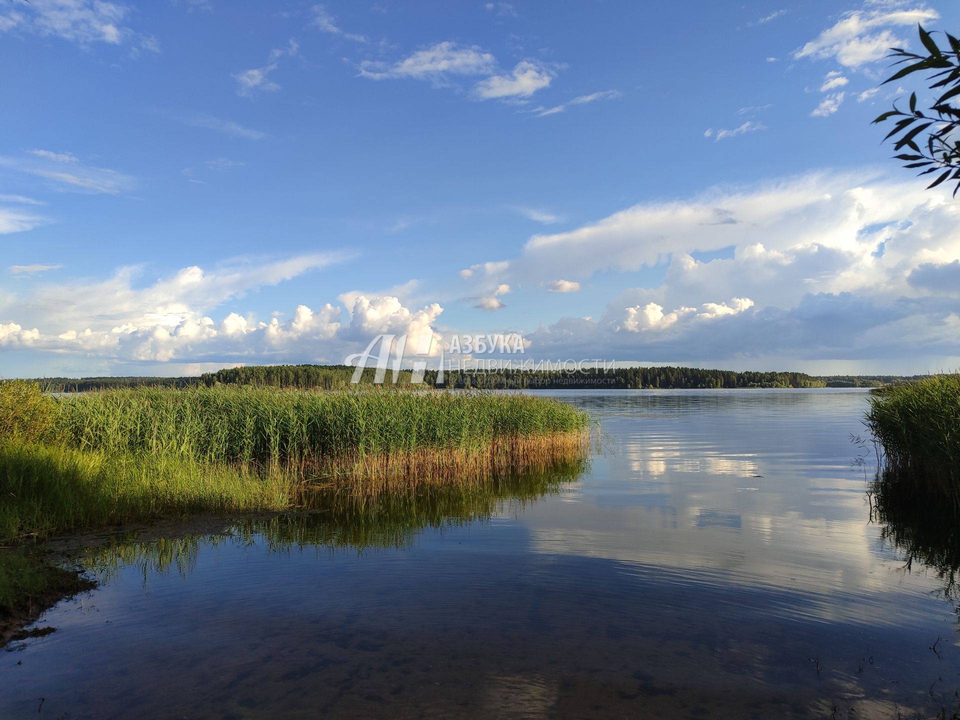 Земли поселения Московская область, Рузский городской округ, деревня Мытники