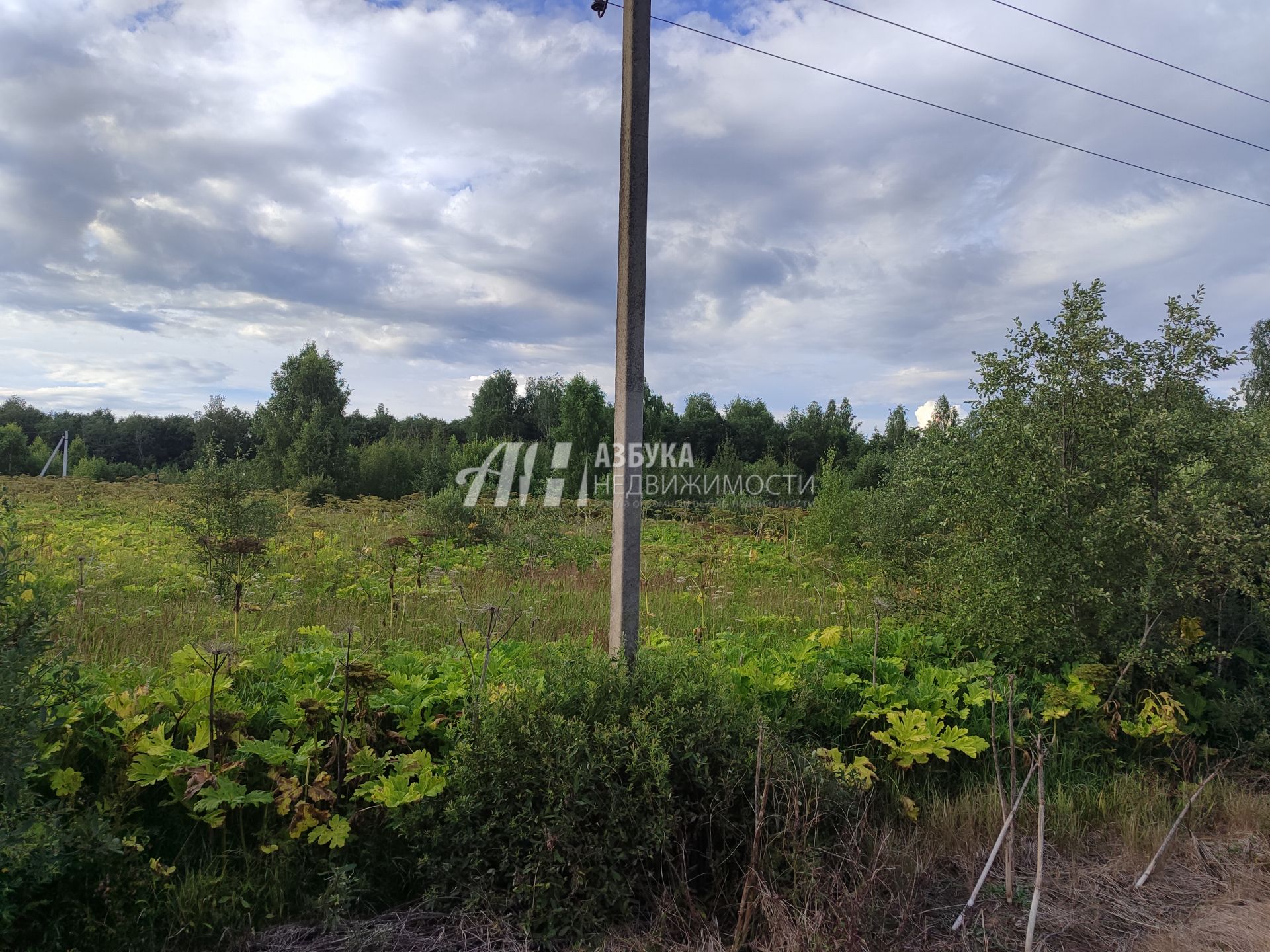 Земли поселения Московская область, Рузский городской округ, деревня Мытники