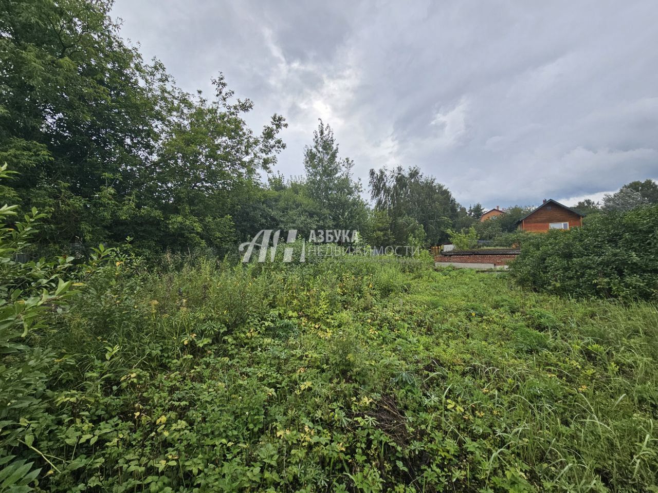 Земли сельхозназначения Московская область, Богородский городской округ, Старая Купавна