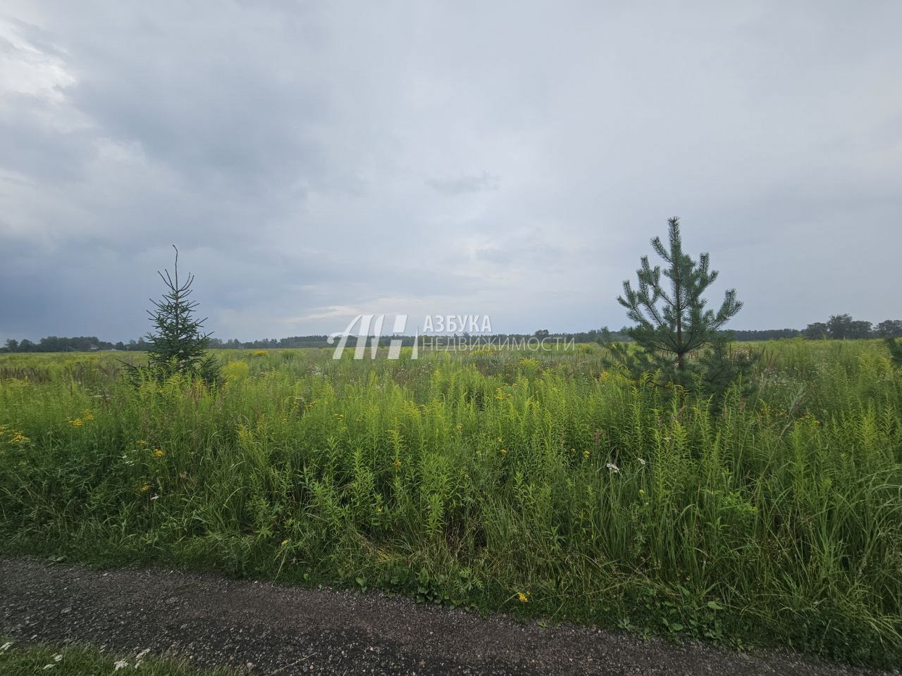 Земли сельхозназначения Московская область, Богородский городской округ, Старая Купавна