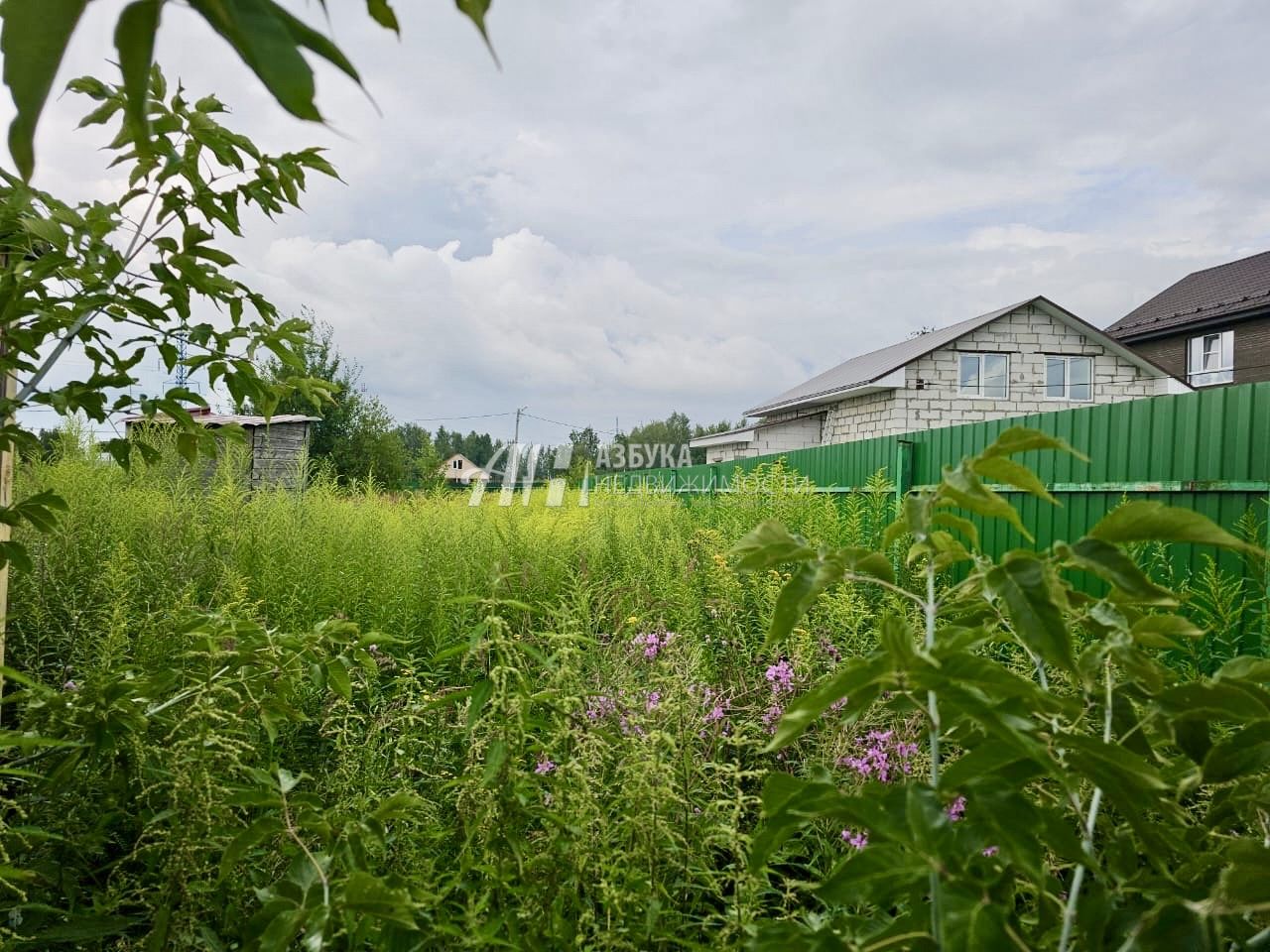 Земли поселения Московская область, Богородский городской округ, деревня Белая, Красная улица