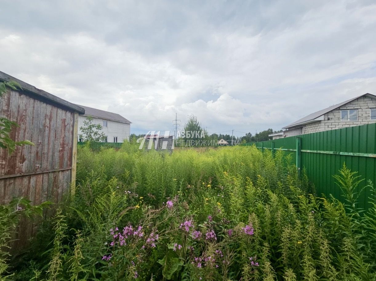 Земли поселения Московская область, Богородский городской округ, деревня Белая, Красная улица