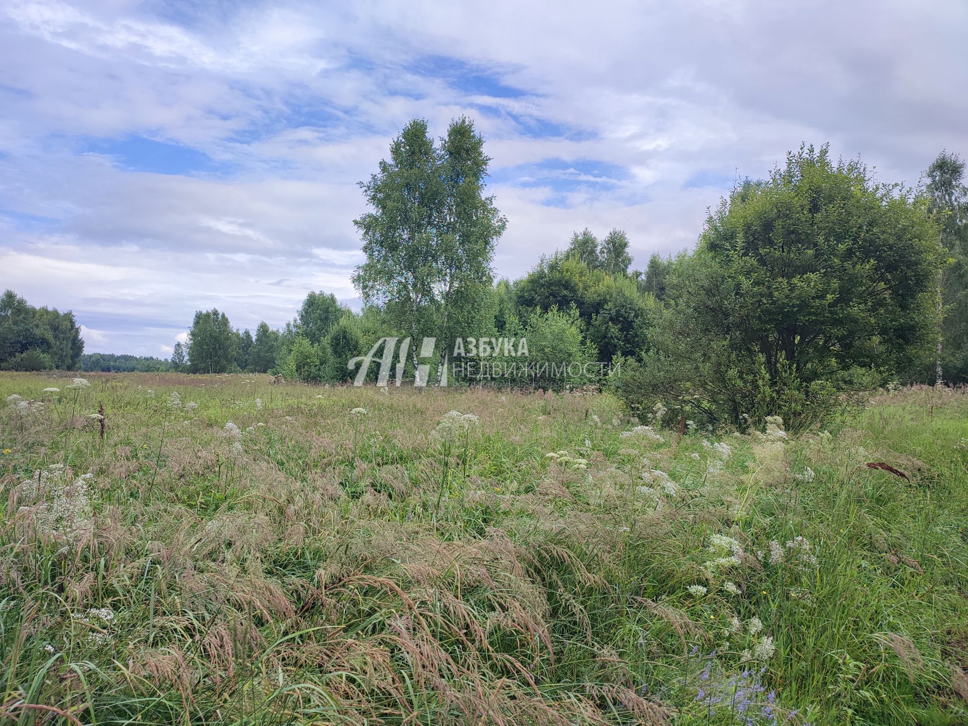 Земли сельхозназначения Московская область, Богородский городской округ, деревня Тимково