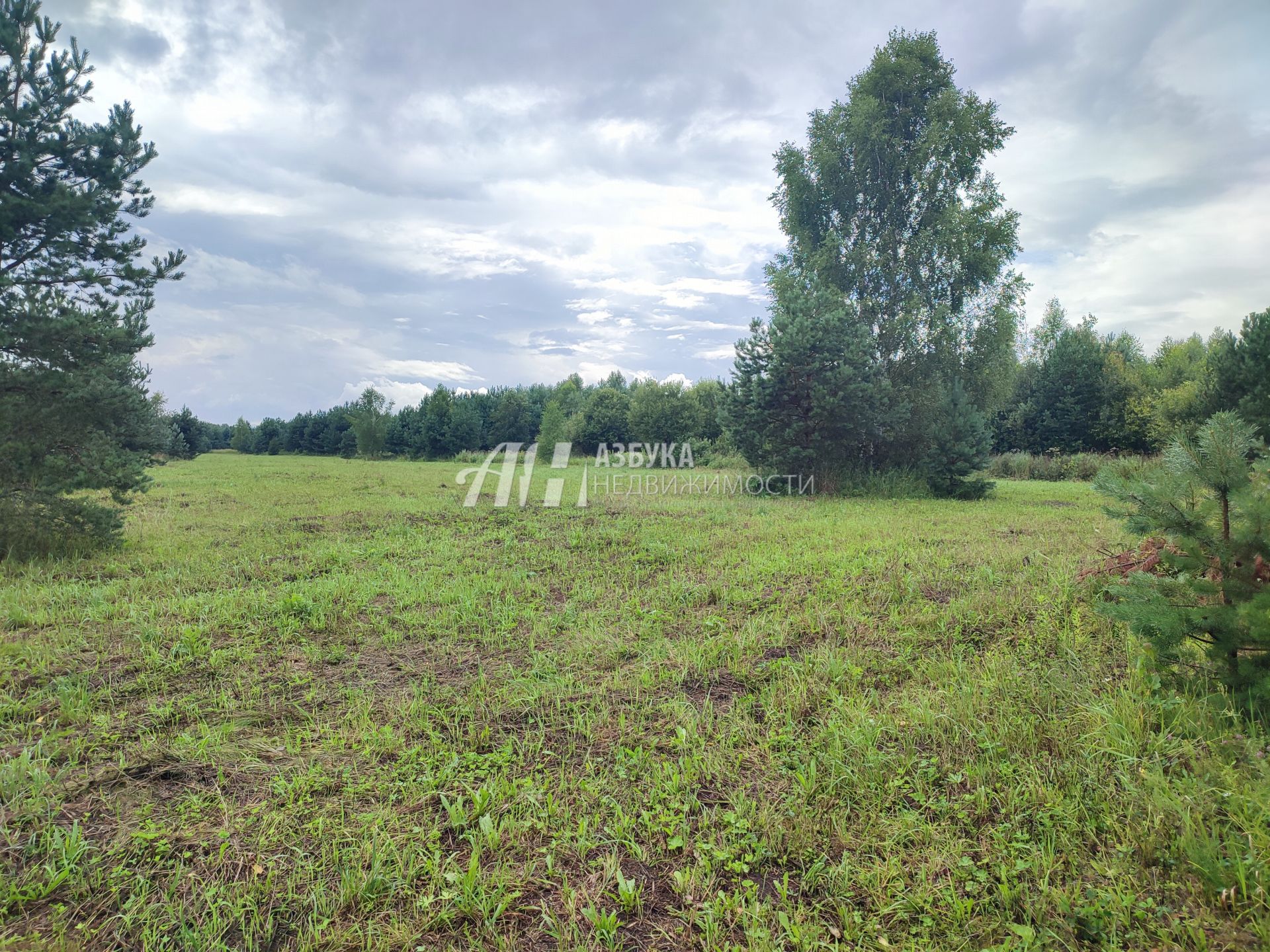 Земли сельхозназначения Московская область, Богородский городской округ, деревня Тимково